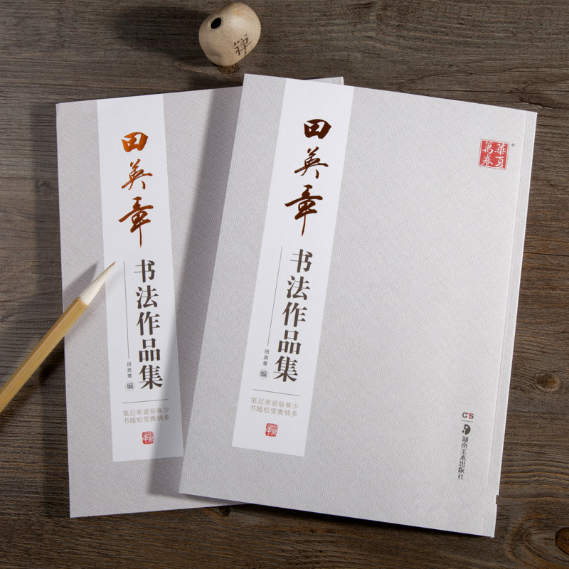Ouyang xunブラシ書道コピーブックセンチャンying - Chinese Calligraphy Practice Book のレビューと価格