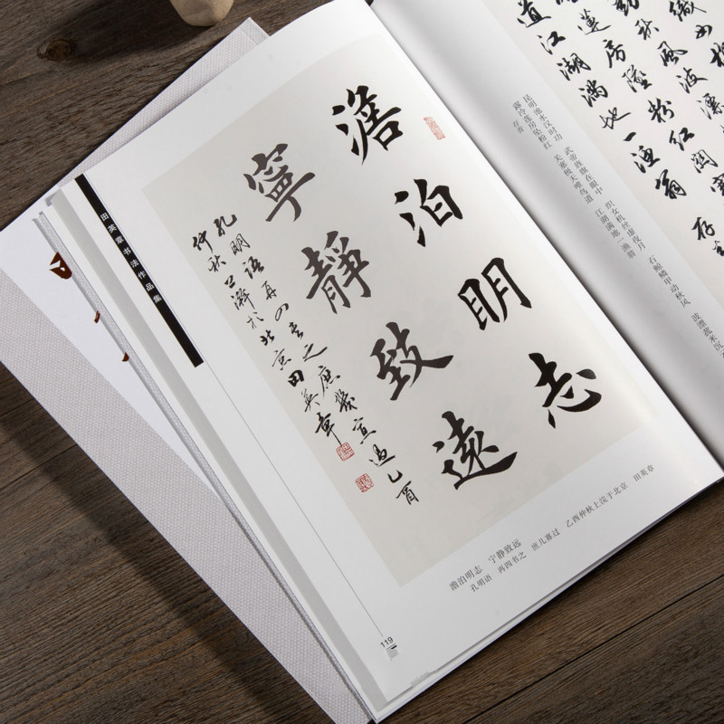 Ouyang xunブラシ書道コピーブックセンチャンying - Chinese Calligraphy Practice Book のレビューと価格